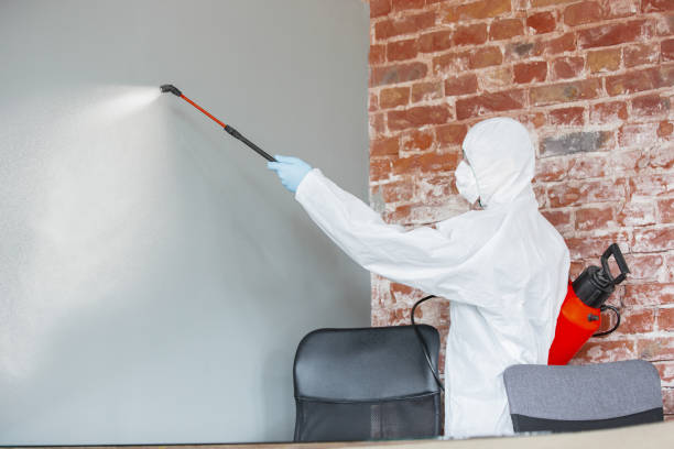  Antioch, IL Mold Removal Pros