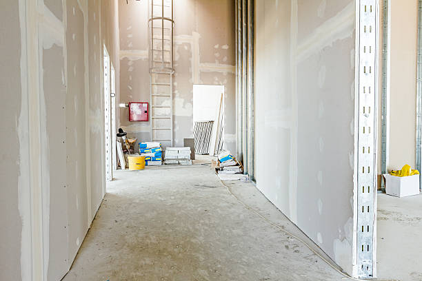 Best Flood Damage  in Antioch, IL